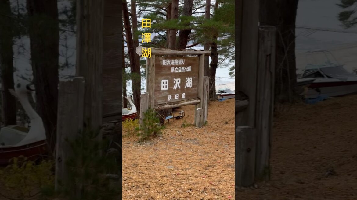 田澤湖吃飯賞景