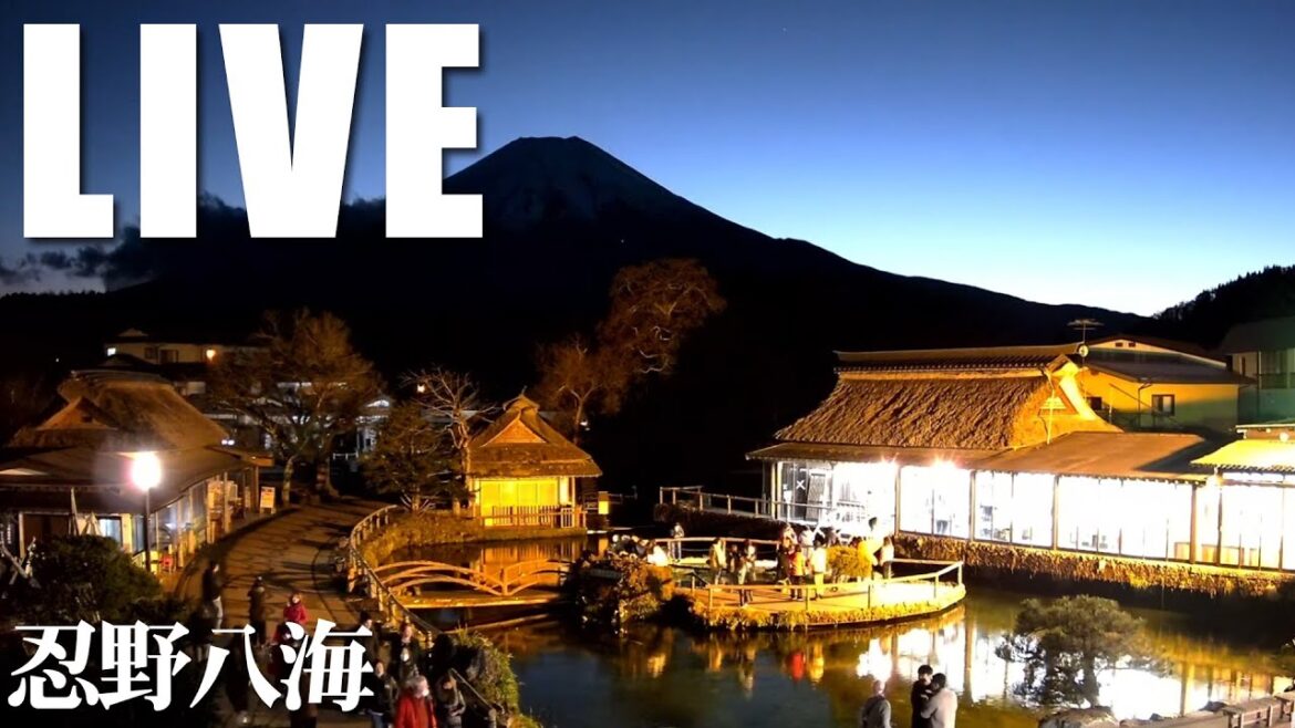富士山ライブカメラ(忍野八海から) – Mount Fuji webcams (Oshino Hakkai) from Japan. 【LiveFujigokoTV】 富士山ライブカメラ(忍野八海から) - Mount Fuji webcams (Oshino Hakkai) from Japan. 【LiveFujigokoTV】