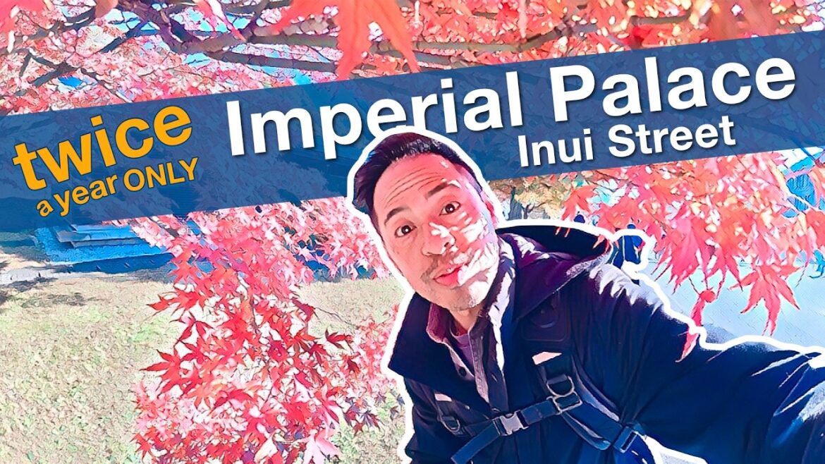 Discover the Forbidden: A Rare Tour of the Imperial Palace – Inui Street Discover the Forbidden: A Rare Tour of the Imperial Palace - Inui Street
