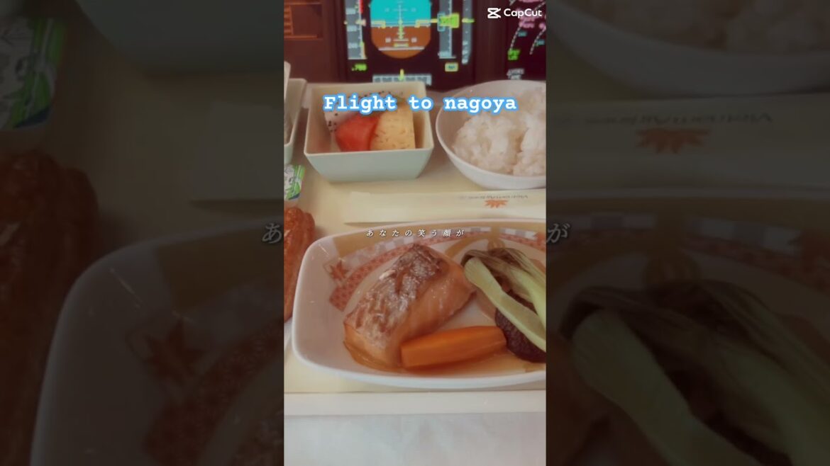 Fly to Nagoya with captain Chilli #aviation #vietnamairlines #trending