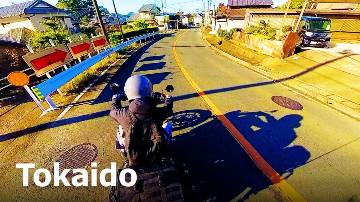 #4_From Kannami Town, Shizuoka Prefecture