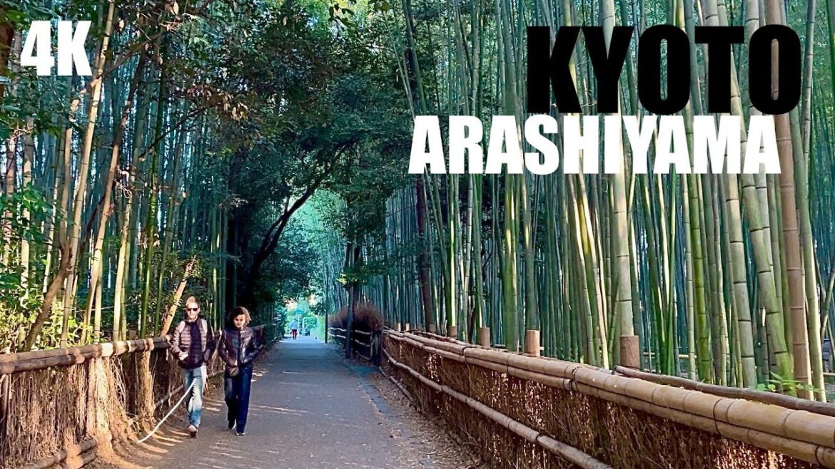 Kyoto Arashiyama | Bamboo Forest | 嵐山竹林の小径 | Walking Tour | 4K HDR