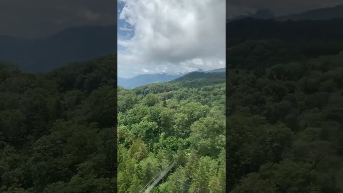 【JAPAN】Must-Climb Nice Mountain - Hakuba