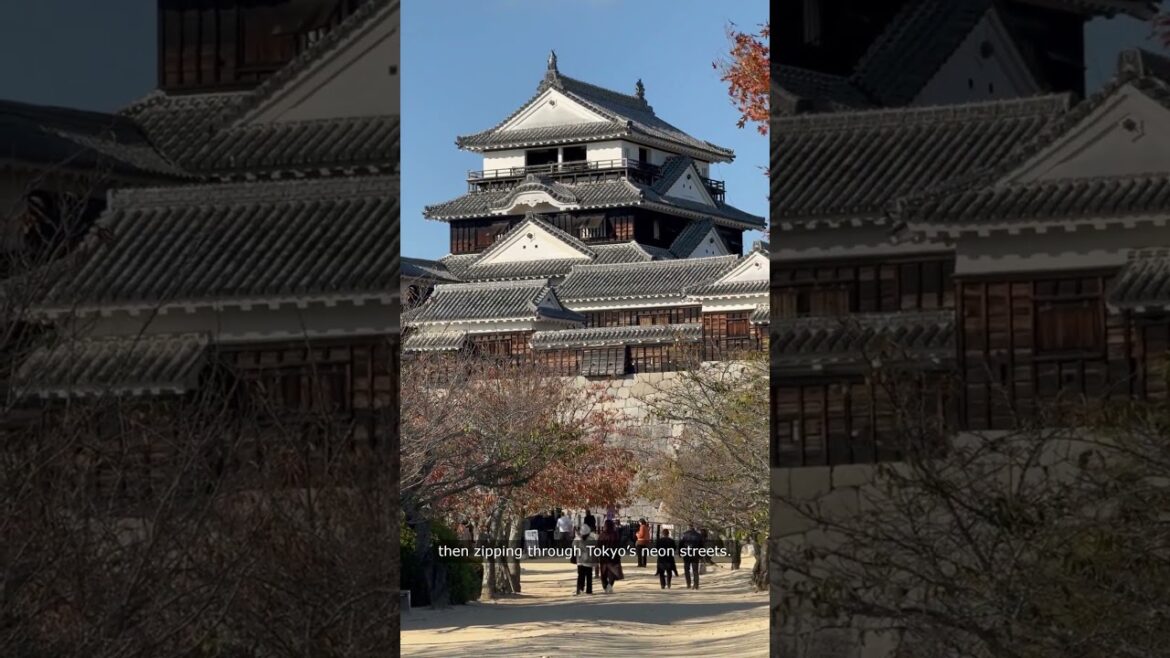 Discover the REAL Japan Nobody Talks About! Discover the REAL Japan Nobody Talks About!