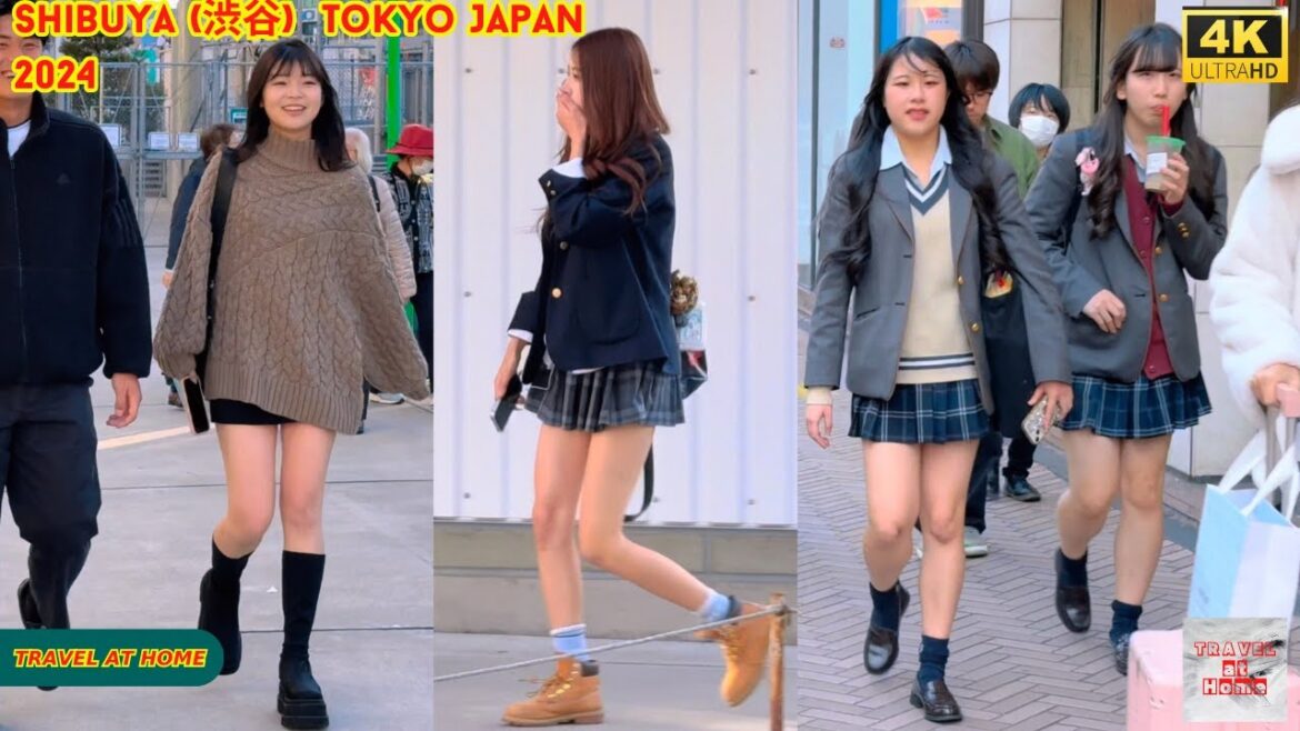 4k hdr Japan travel 2024 | Walk in Shibuya (渋谷) Tokyo Japan |  Relaxing Natural City ambience