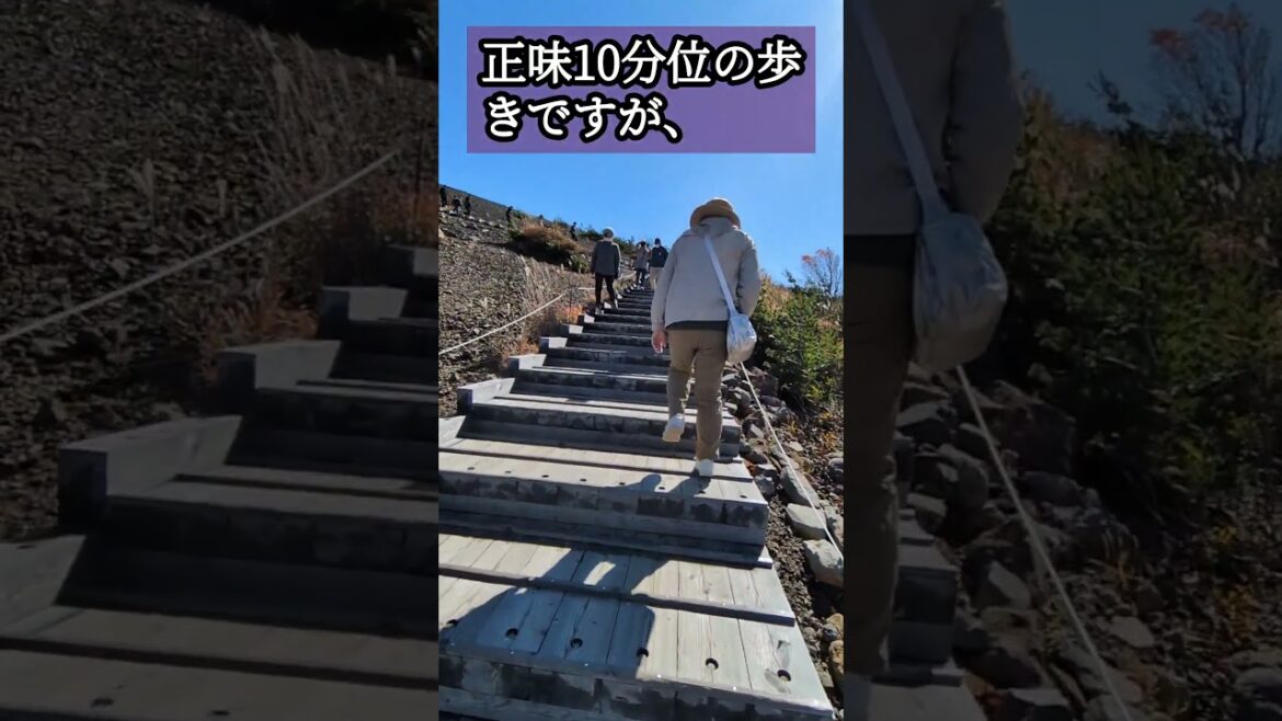 【福島バスツアー①】#shorts#吾妻小富士#浄土平#磐梯スカイライン　景観も紅葉も素晴らしい場所でした🥰