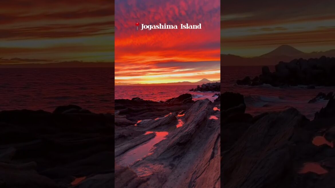 Least Popular Tourist Places Japan | Jogashima Island #japantravel #islandadventures #traveljapan Least Popular Tourist Places Japan | Jogashima Island #japantravel #islandadventures #traveljapan