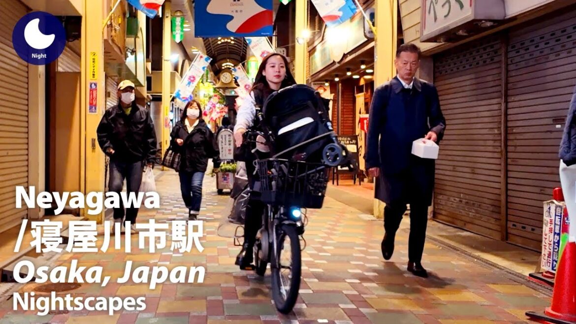 ⁴ᴷ Osaka: Neyagawashi Station (大阪府: 寝屋川市駅) – Japan Walking Tour (November, 2024) ⁴ᴷ Osaka: Neyagawashi Station (大阪府: 寝屋川市駅) - Japan Walking Tour (November, 2024)