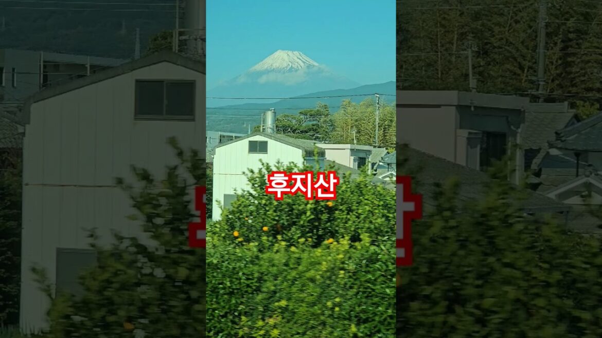 시즈오카 가는 길에 보는 후지산