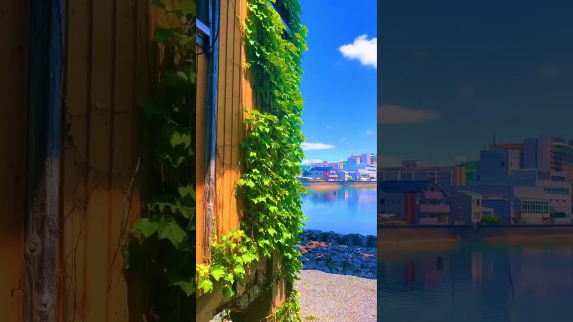 【Japan】 Wakayamashi/和歌山市