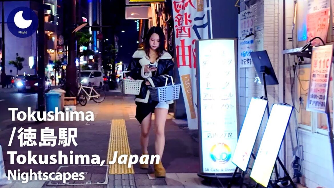 ⁴ᴷ Kokushima: Kokushima Station (徳島県: 徳島駅) - Japan Walking Tour (December, 2024)