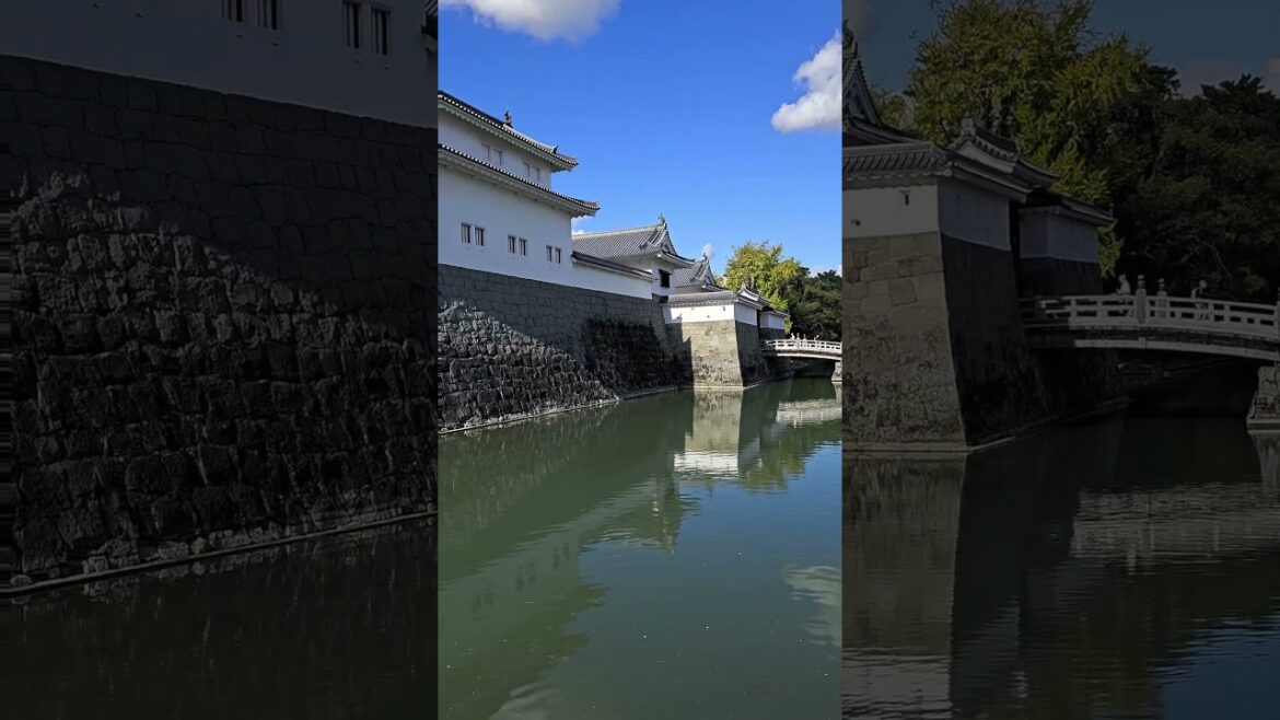 Sumpu Castle Park 骏府城公园