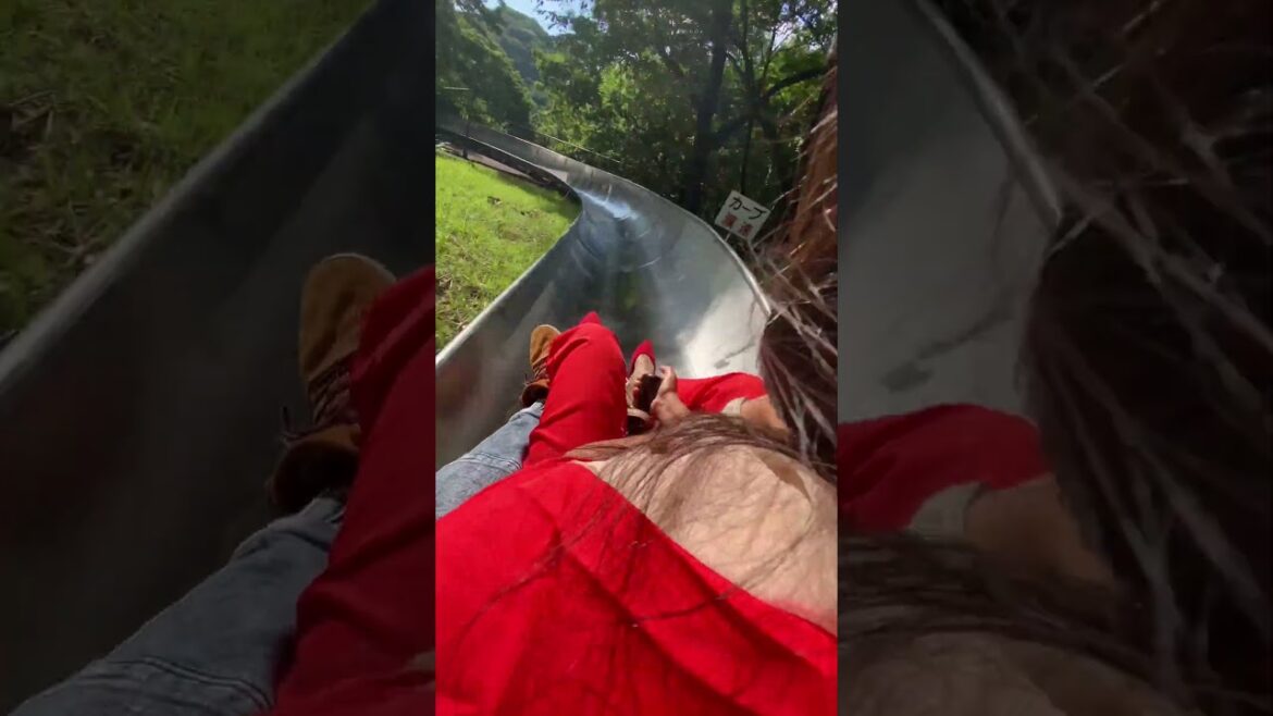 mountain coaster #japan #travel #coaster