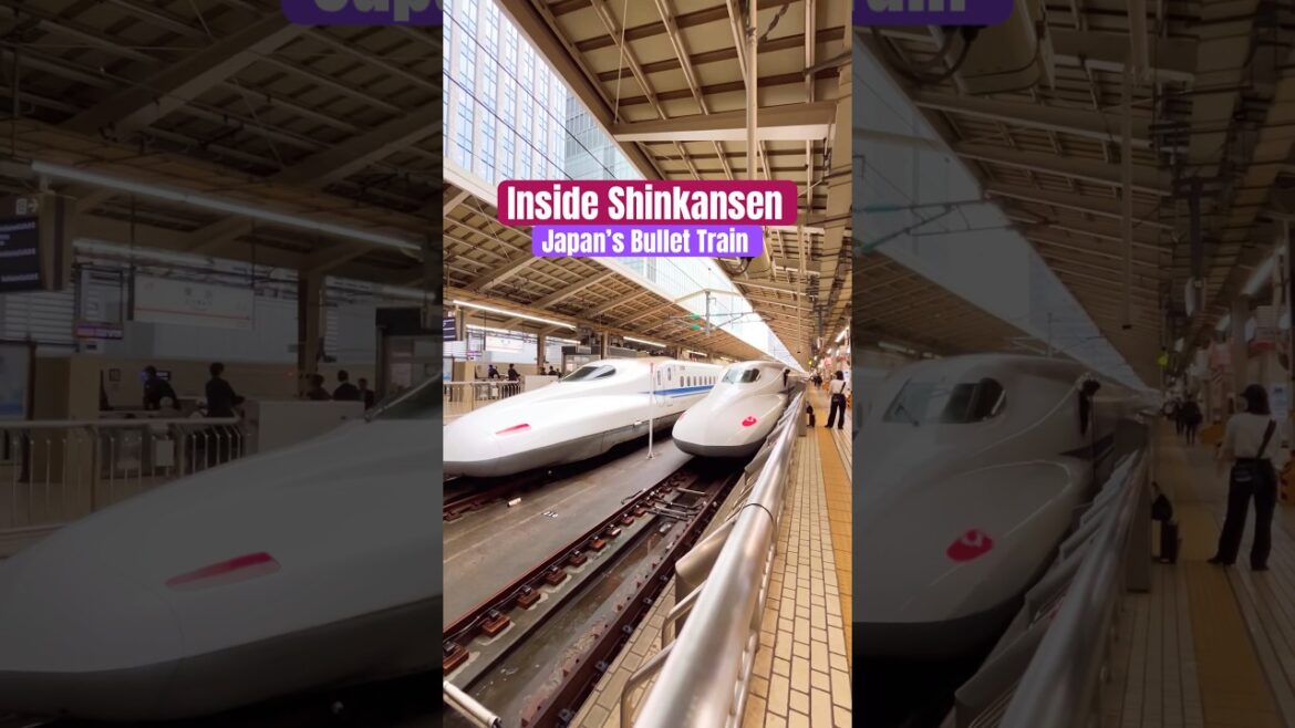 Inside a Shinkansen, Japan’s Bullet Train #japan #shinkansen #bullettrains #train #nozomi #shorts