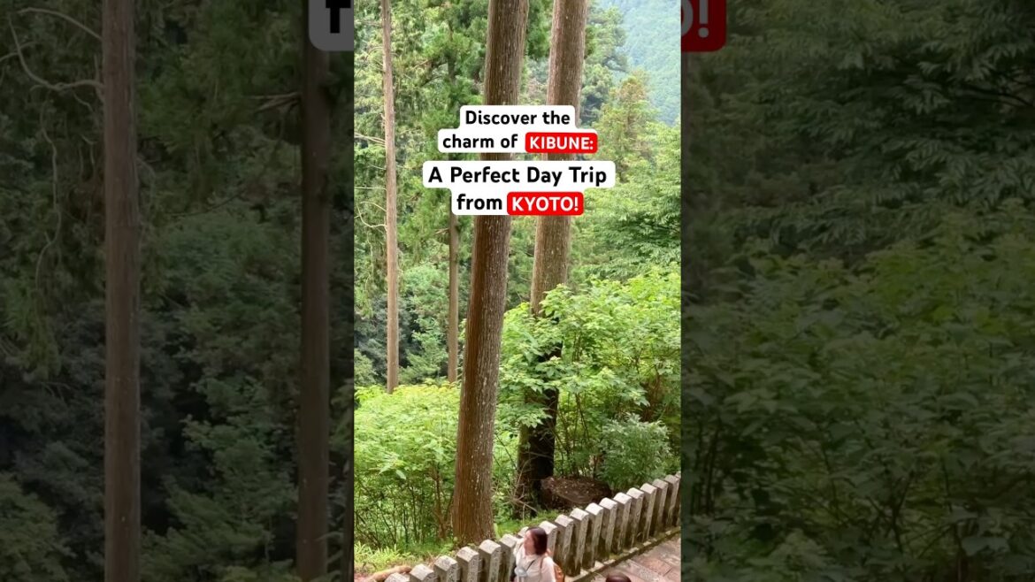 Day Trip from Kyoto! Kibune Travel Guide
