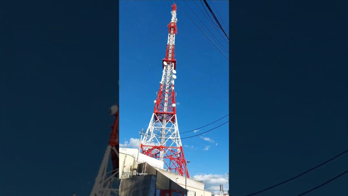 Japan Explorer / Nagoya Aichi #shortsyoutube #shortvideo #shortsvideo #short #shorts #shortsfeed