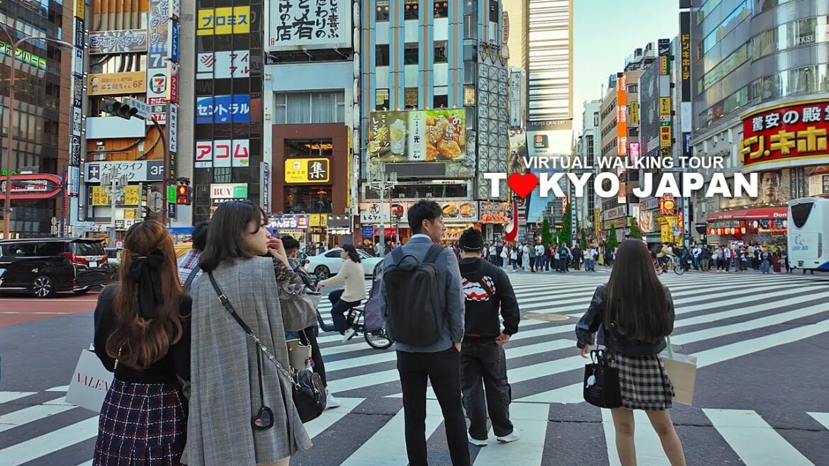 Tokyo Japan, Walk in Shinjuku, Kabukicho, Omoide Yokocho, Travel, 4K