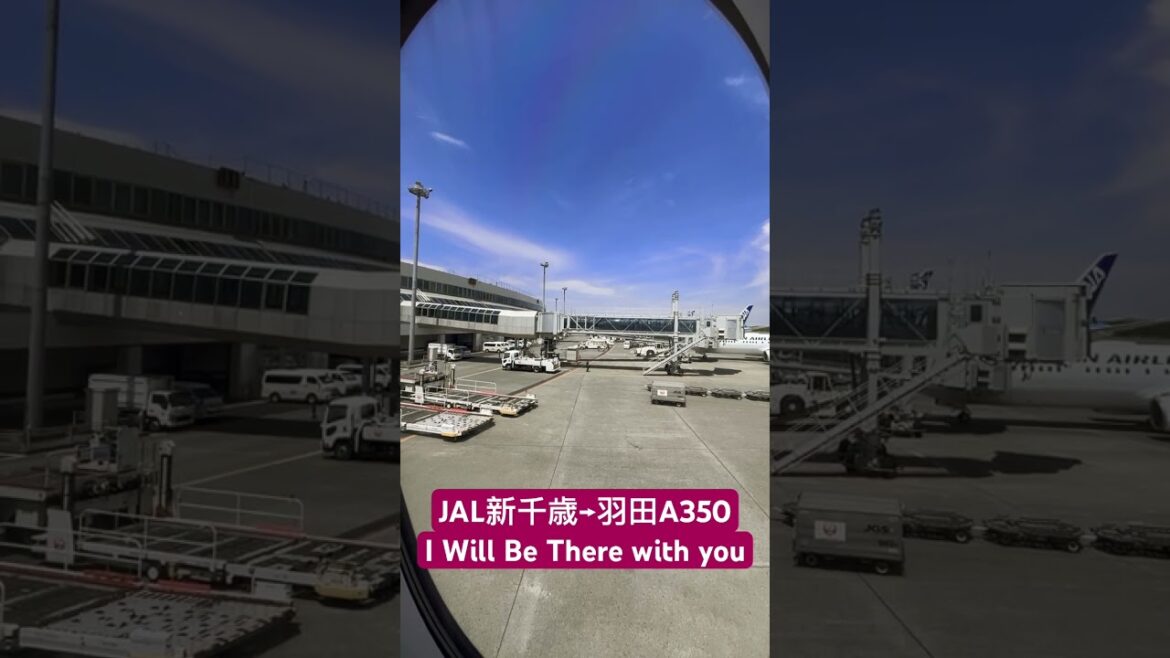 JAL 晴天の新千歳空港から搭乗時機内BGM  I Will Be There with you  #jal #日本航空 #機内 #bgm#新千歳空港