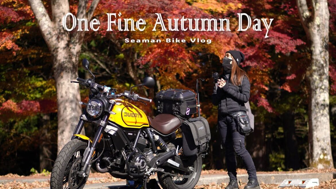 【山梨 南アルプス】南伊奈ヶ湖で見つけた小さな秋の休日|DUCATI Scrambler1100 Tributepro|休日バイク Vlog 【山梨 南アルプス】南伊奈ヶ湖で見つけた小さな秋の休日|DUCATI Scrambler1100 Tributepro|休日バイク Vlog