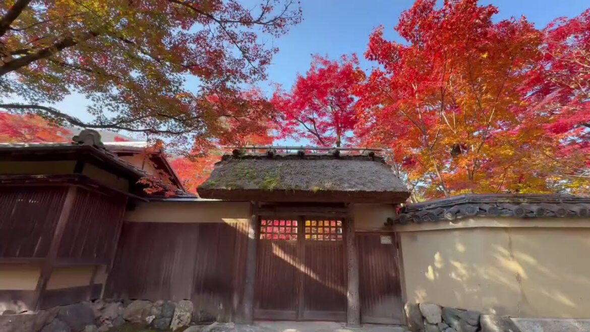 宝厳院 Hogon-in temple, Arashiyama, Kyoto 宝厳院 Hogon-in temple, Arashiyama, Kyoto