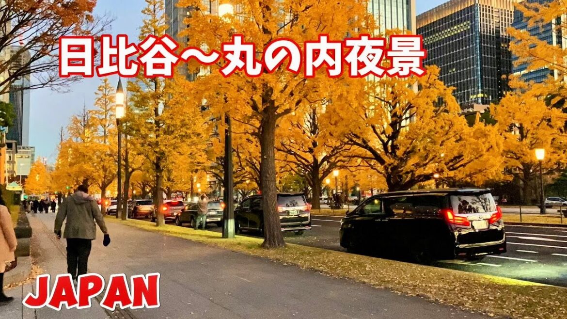 【4k】Marunouchi〜Hibiya Station through 丸の内ストリートマーケット || A Visit Spot in Tokyo Japan ||