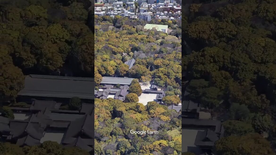 Explore Meiji Shrine in Tokyo