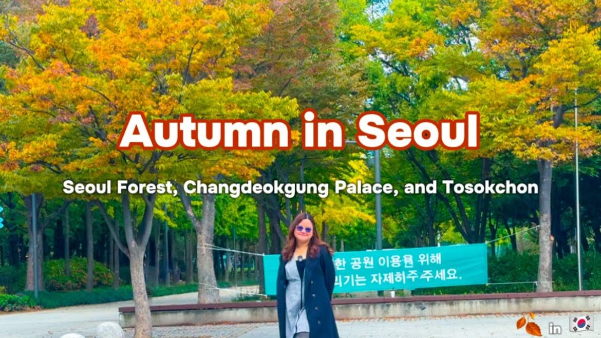 Seoul Vlog: Chasing Autumn 🍂 | Steph Devora