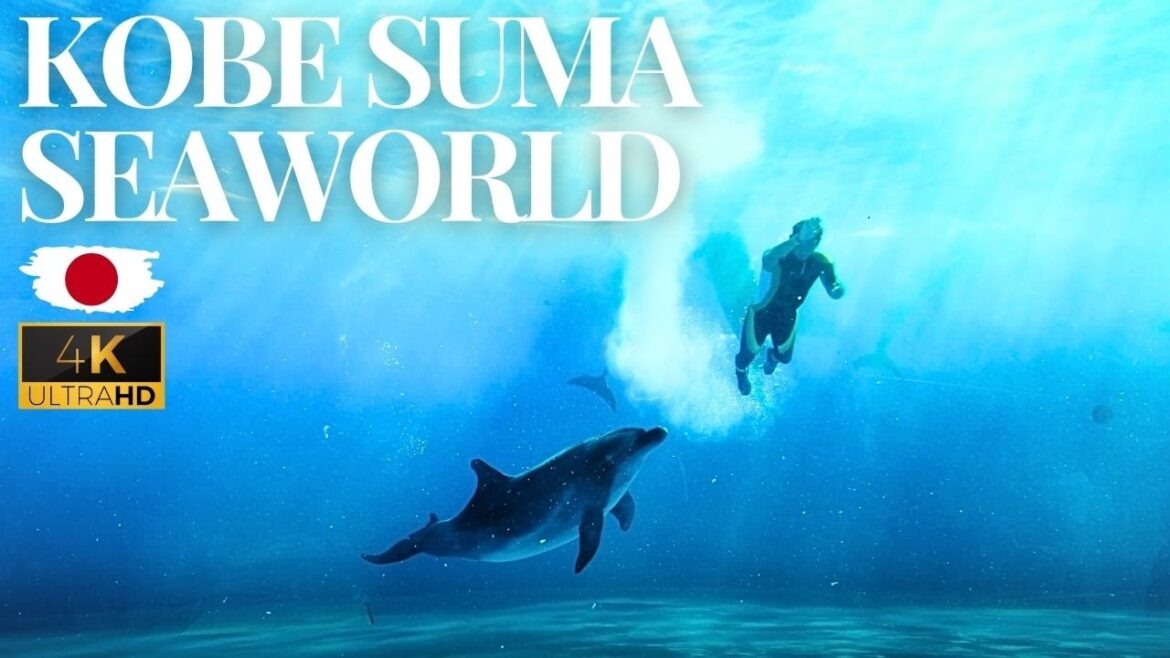 Japan Kobe Suma Seaworld |ORCA Killer Whale Show | Dolphin Show Aquarium 4K UHD Walking Tour 須磨海洋世界 Japan Kobe Suma Seaworld |ORCA Killer Whale Show | Dolphin Show Aquarium 4K UHD Walking Tour 須磨海洋世界