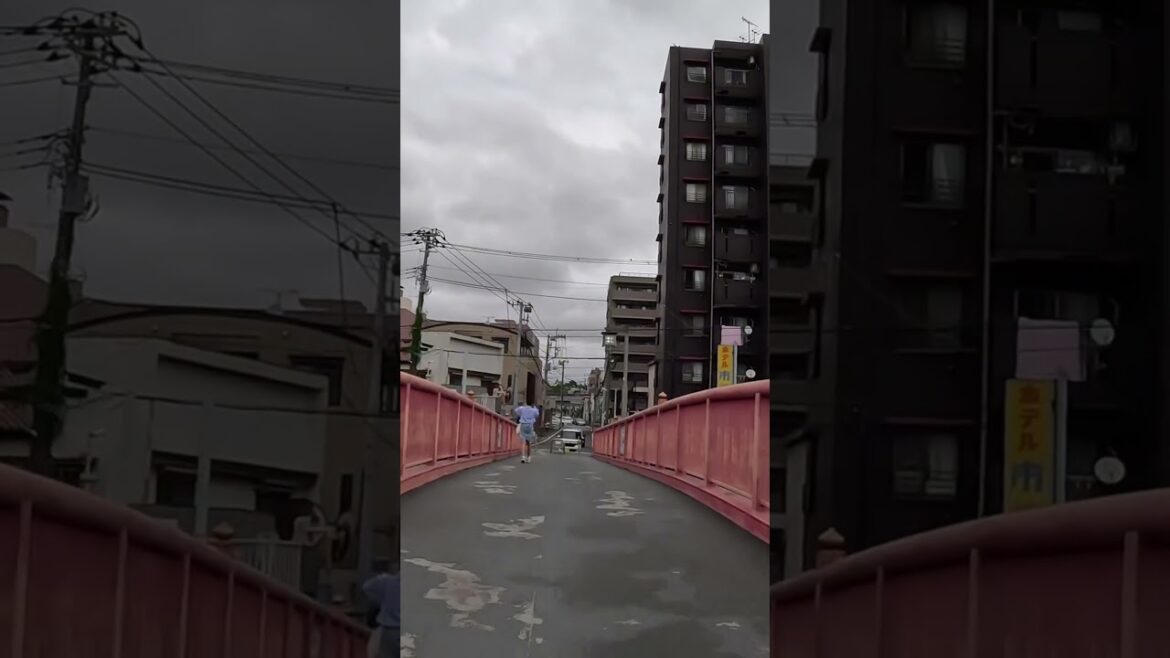 “Exploring the vibrant city of Funabashi #travel #trending #youtubeshorts #adventure #shorts #views