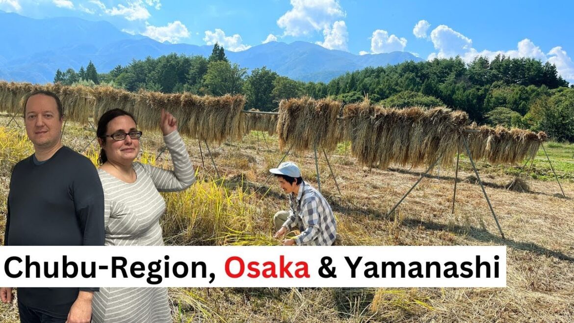 Chubu, Osaka (inklusive Osaka Expo 2025) & Yamanashi: Reisen für JNTO