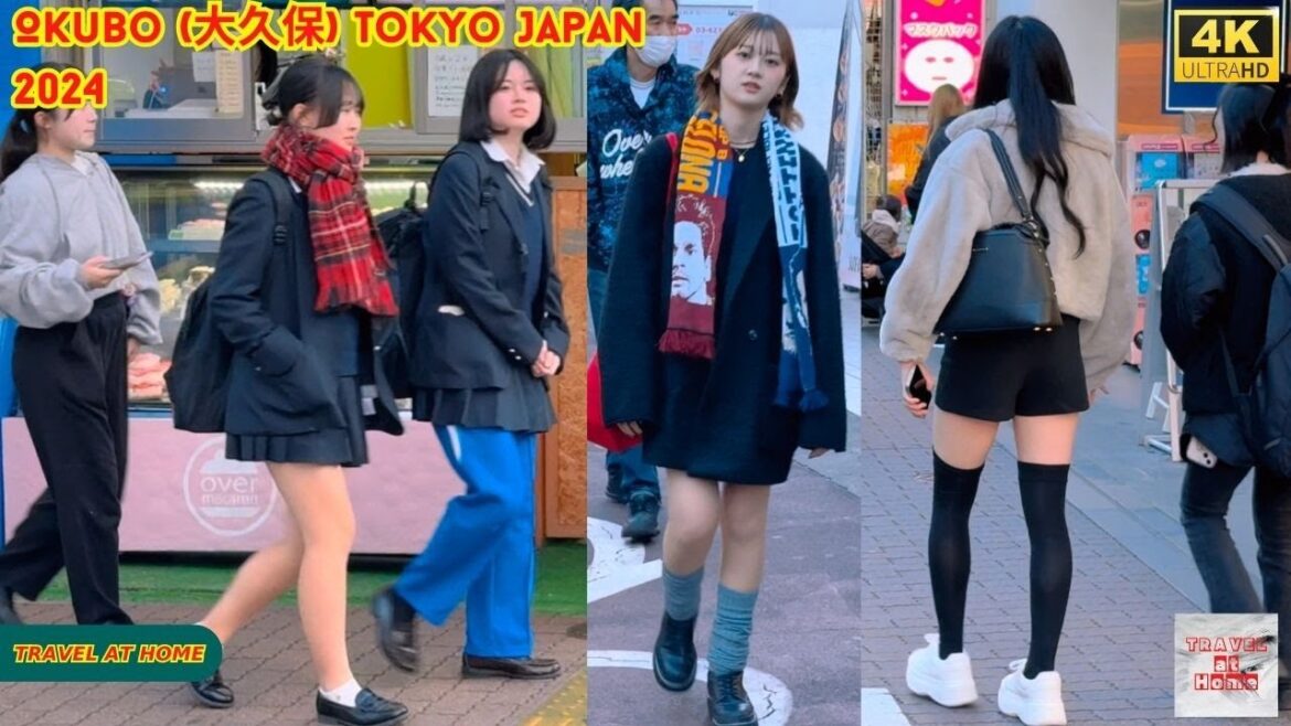 4k hdr Japan travel 2024 | Walk in Okubo (大久保) Tokyo Japan |  Relaxing Natural City ambience