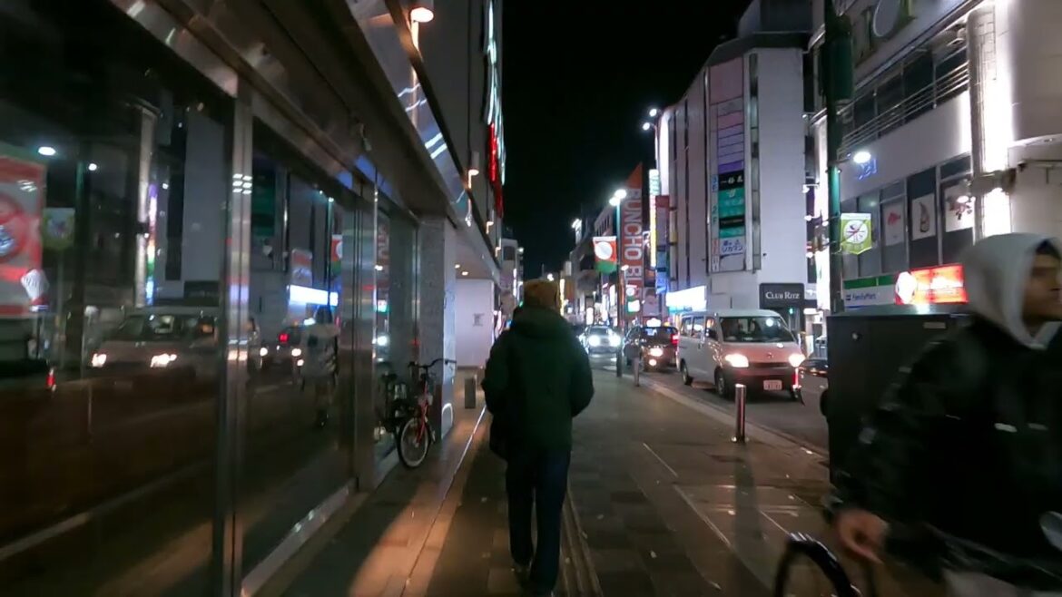 【東北地方最大の繁華街 仙台市国分町夜の散歩② 】2024年12月7日 senndai walking tour 【東北地方最大の繁華街 仙台市国分町夜の散歩② 】2024年12月7日 senndai walking tour