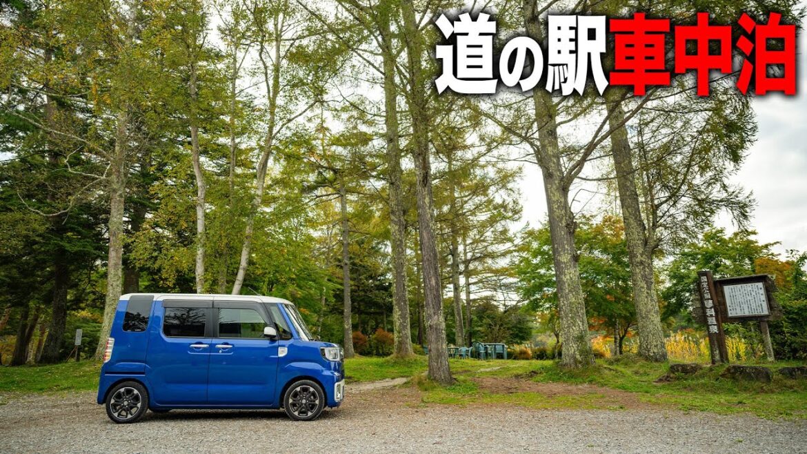 湖畔の道の駅で車中泊！黒部ダム〜道の駅ビーナスライン蓼科湖【ダイハツ ウェイク】