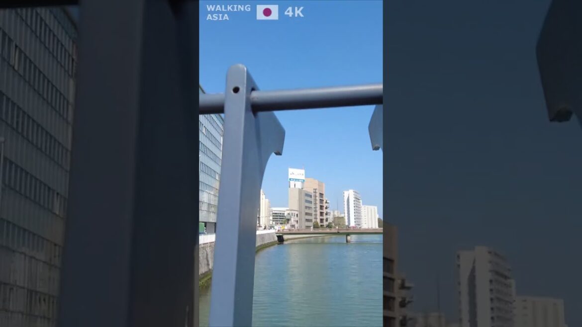 🇯🇵 Experience #Fukuoka in #Japan with us! #Shorts