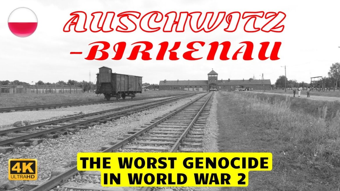 🇵🇱 Auschwitz - Birkenau Tour (Auschwitz I & Auschwitz II Camps)