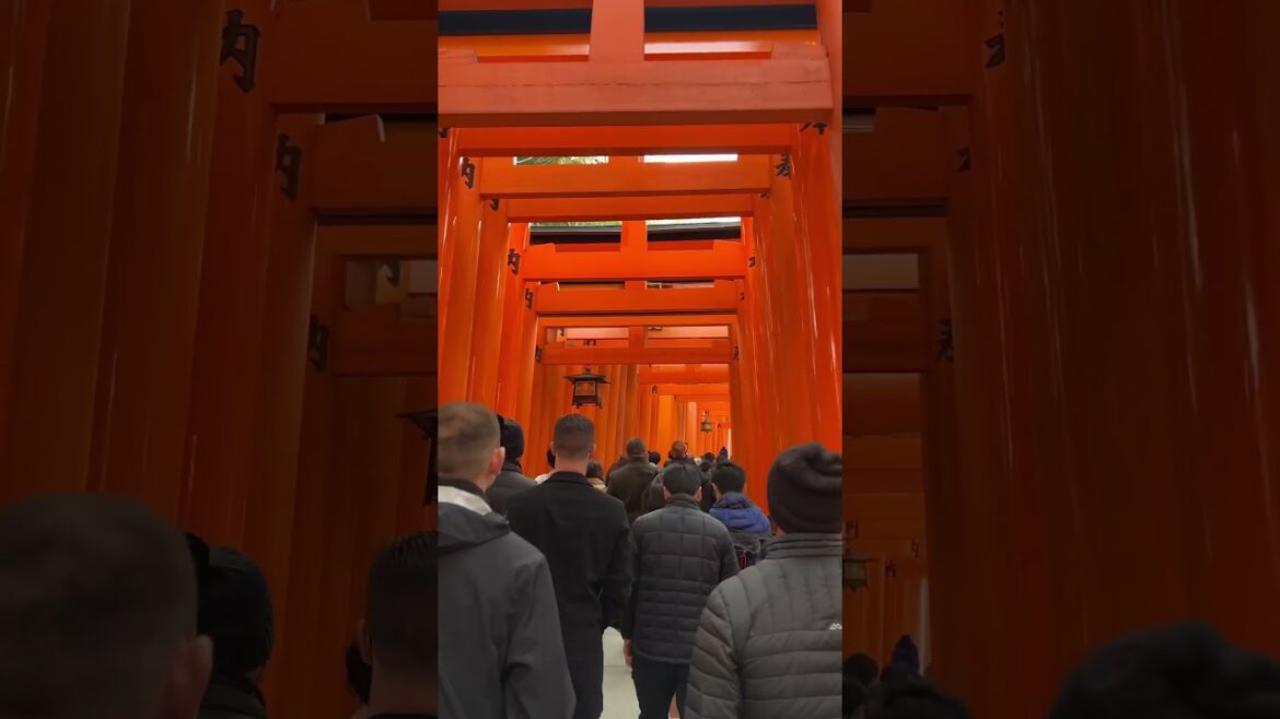 Kyoto Travel in 1 Minute! ❤️😉🚃🏯🍘 #japantravelvlog #kyoto #explorejapan