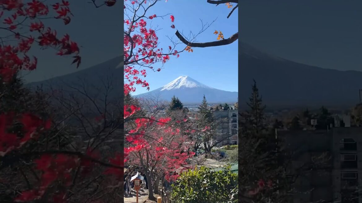 The beautiful side of Mt Fuji