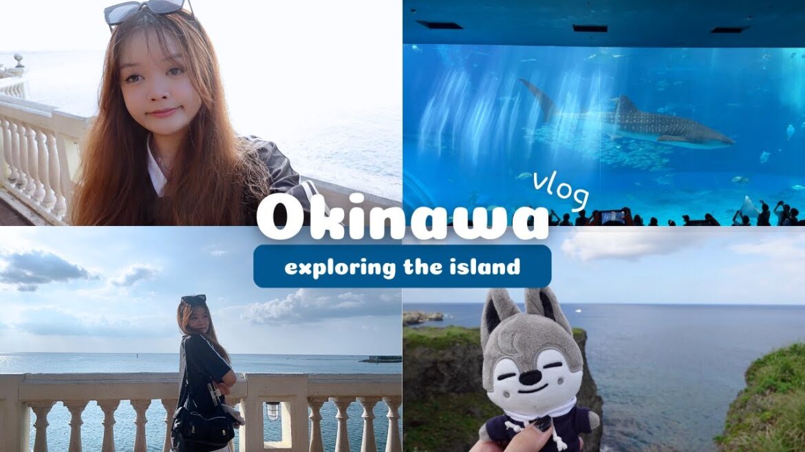 🇯🇵 Okinawa diary | American Village, Churaumi Aquarium, Cape Manzamo, etc. | moguqi