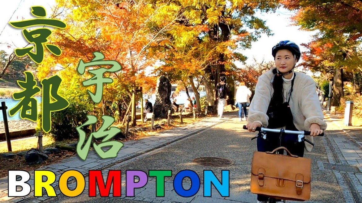 【京都 宇治】BROMPTON Slow Cycling Kyoto-Uji Tour 【京都 宇治】BROMPTON Slow Cycling Kyoto-Uji Tour