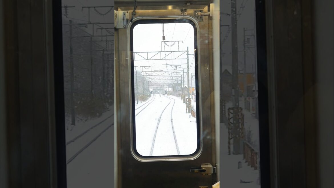 Otaru Hokkaido #vlog #travel #hokkaido #japan #snow