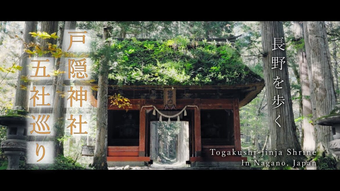 【長野観光】戸隠神社五社巡りを徒歩で行う長野旅行 / Japan trip, Tour of the Five Shrines of Togakushi-jinja Shrine in Nagano