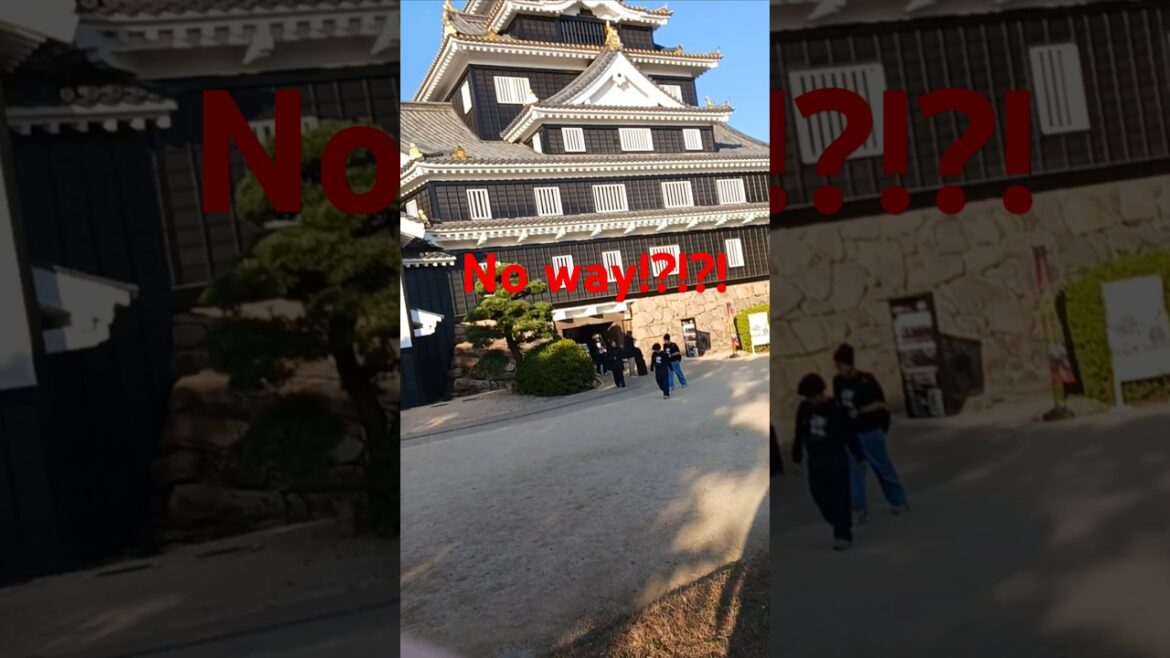 I can't believe this!! Okayama Part 3 #castle #vlogs #funny #castleandcastle #Thebalolos