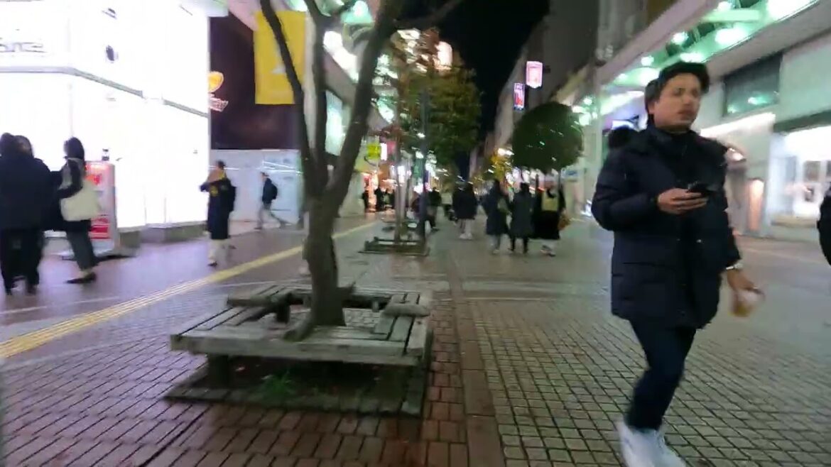 【東北地方最大の繁華街　仙台市国分町夜の散歩④　】2024年12月7日　senndai walking tour