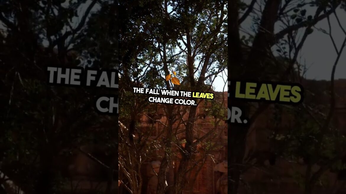 Discover Japan: 3 Must Do Experiences | Things To Do In Japan | Japan Tourism | Travel To Japan Discover Japan: 3 Must Do Experiences | Things To Do In Japan | Japan Tourism | Travel To Japan