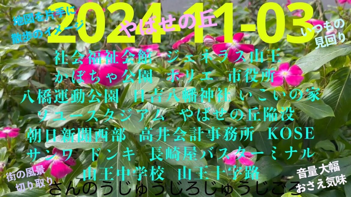 2024-11-03さんのうじゅうじろじゅうじごろ