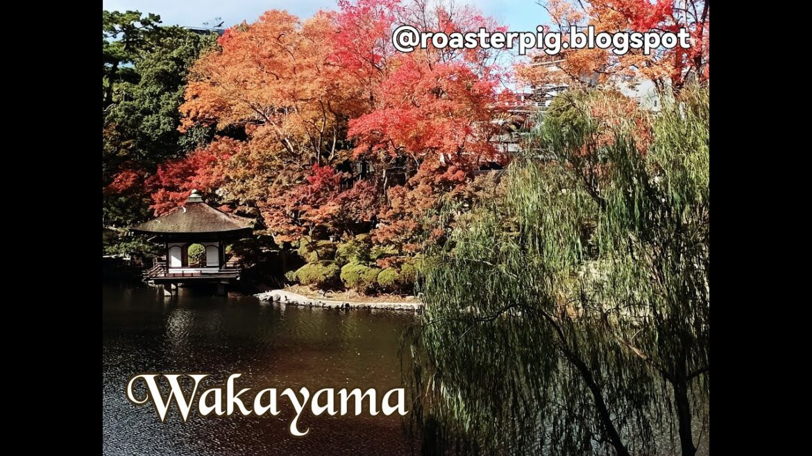 Exploring Wakayama City, Osaka Side Trip (ENG SUB)  - Japan Travel