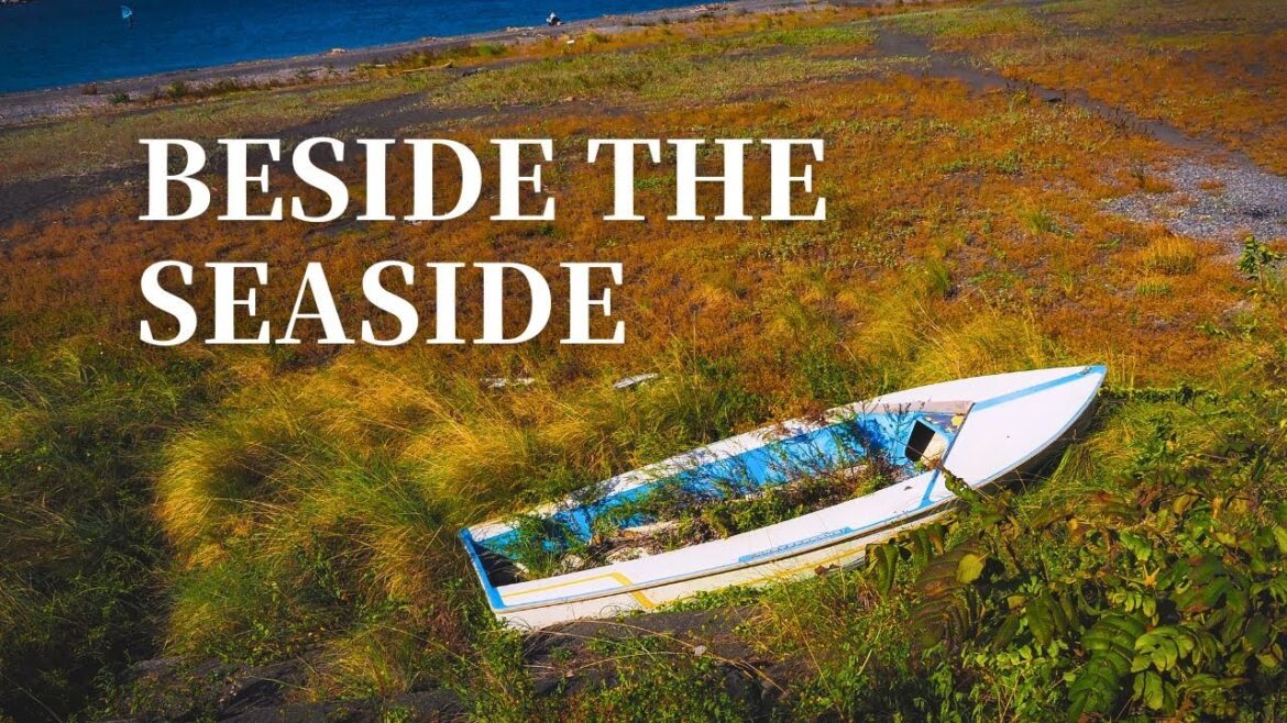 Day 71: Nihondaira and Mount Fuji Views on the Tokai Nature Trail 東海自然歩道