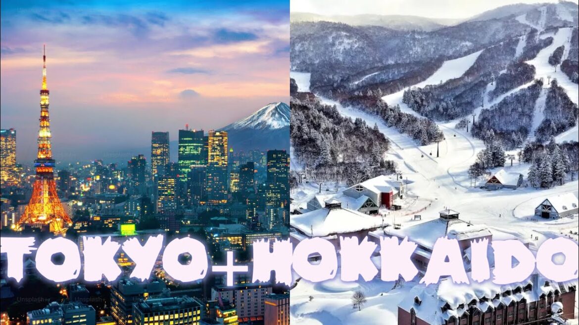 Tokyo+Hokkaido Winter Ski Trip