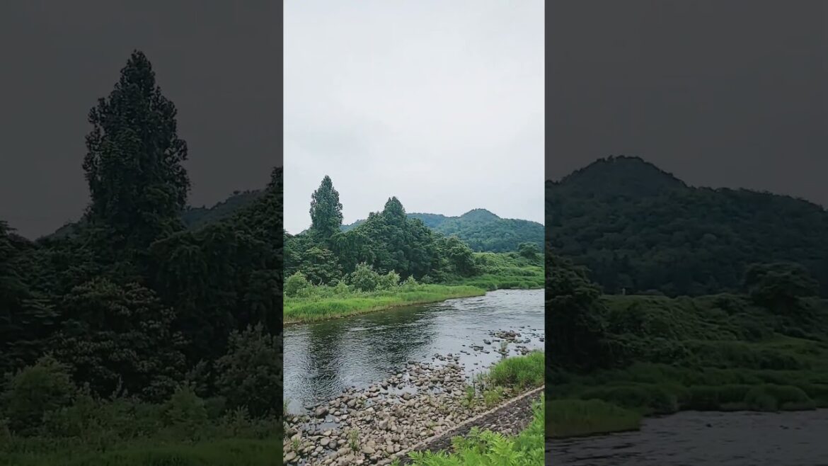 【新潟三条】圧倒的大自然！壮大な八木鼻岳！#新潟 #新潟観光 #スノーピーク #shorts