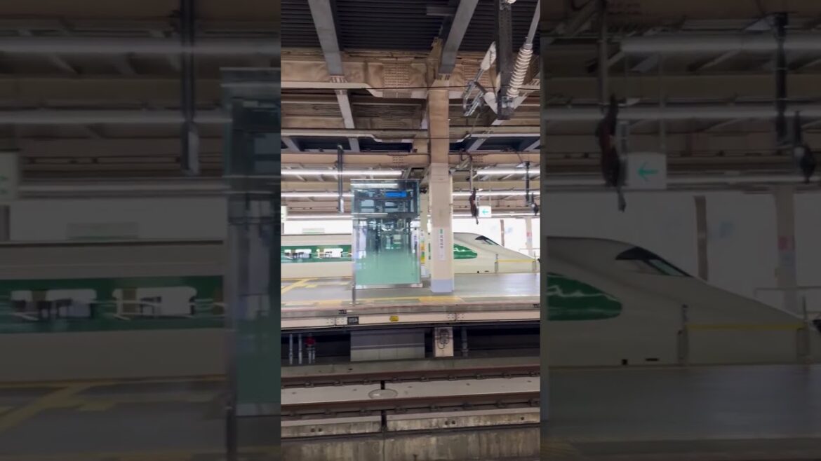 Shinkansen​ Bullet Train in JAPAN 🚅🇯🇵